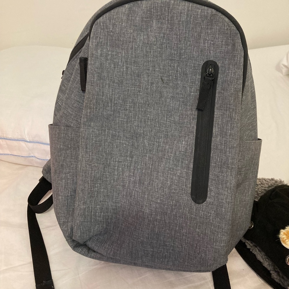 Everlane backpack
